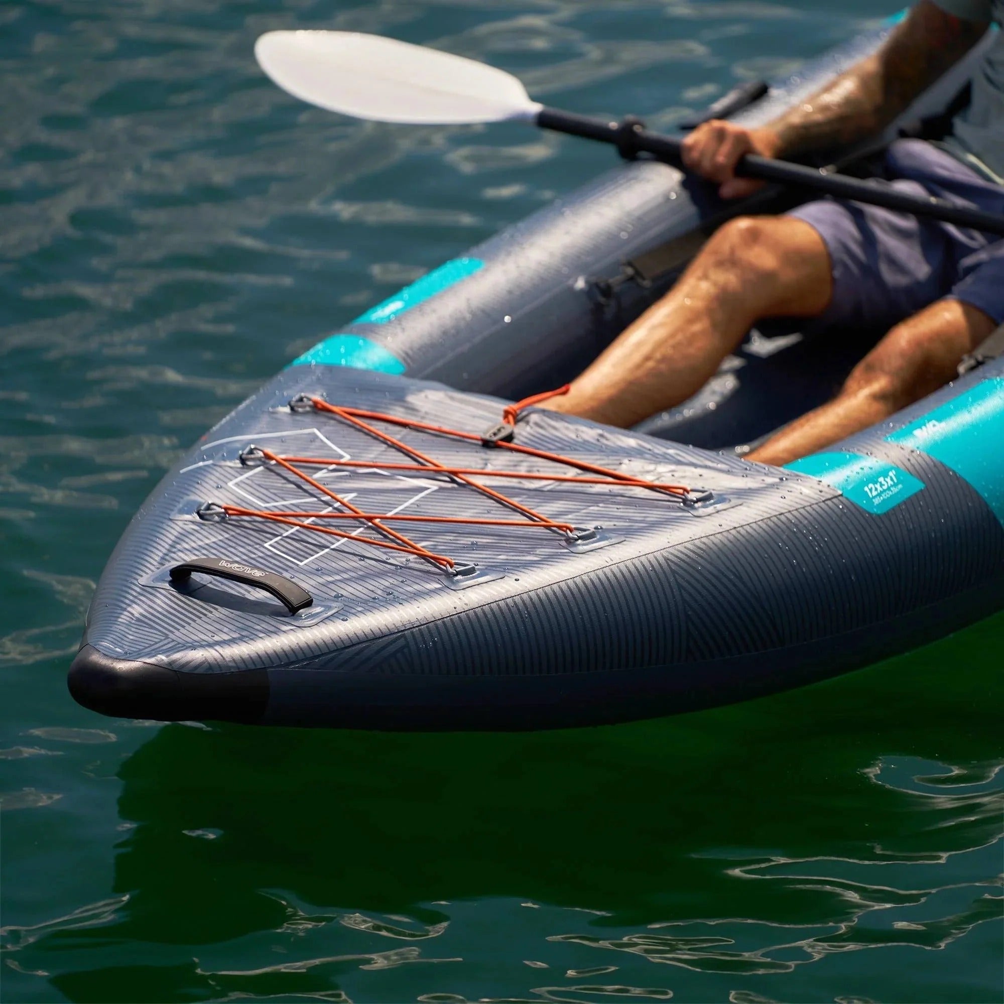 Wave The Roamer